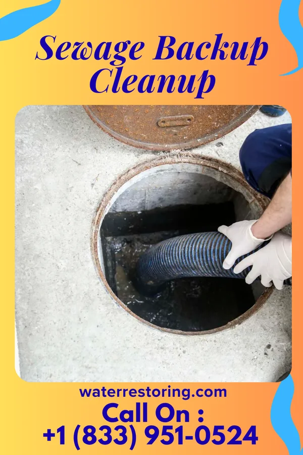 Sewage Backup Cleanup in Medical Lake, WA